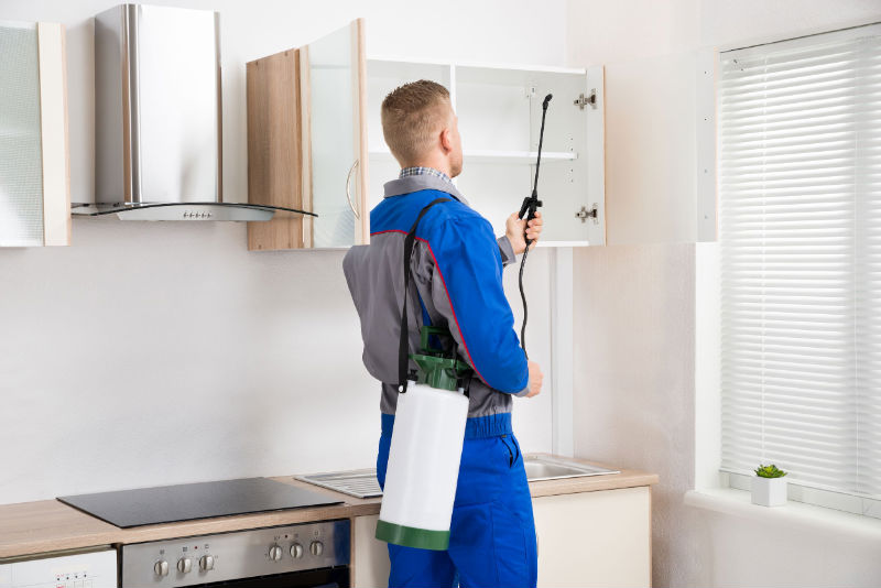 Get the Idea of the Advantages of an Effective Pest Control