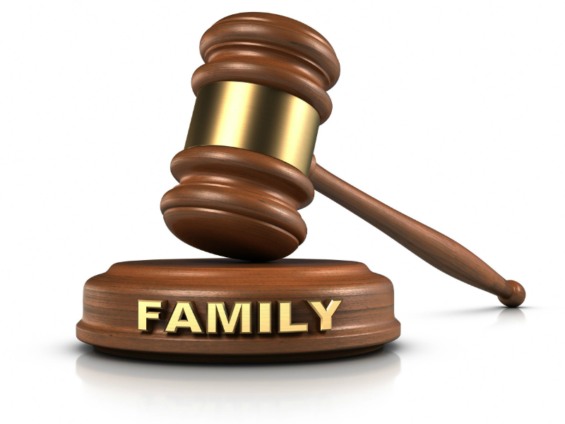 The Role of The Guardian Ad Litem