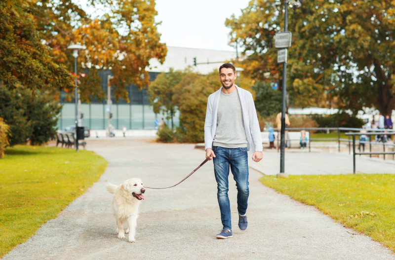 3 Benefits of a Professional Dog Walking Service In NYC