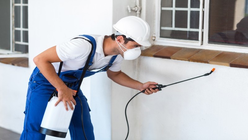 How to seek the services of Local Exterminators In Newnan GA