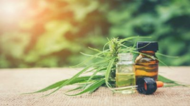 Studies Reveal Medical Cannabis Benefits, Find a Cannabis Dispensary in Spokane