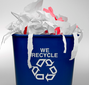 Roll Off Dumpster in Corpus Christi, TX: The Key to Clean and Sustainable Projects