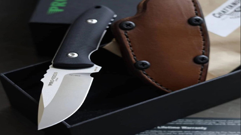Fixed Blade Knives vs Folders: An EDC Showdown