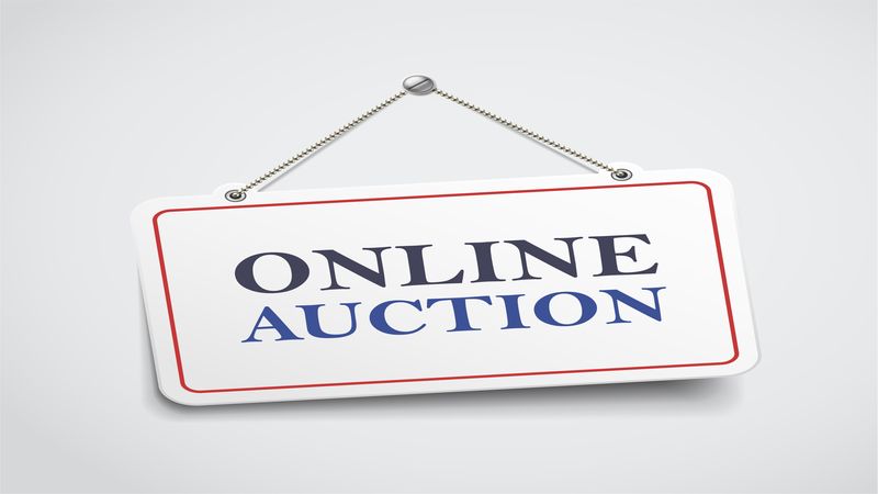 Why Buying at an Auction Is the Best Way to Purchase Rare Items in Canada