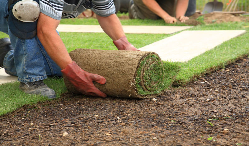 Things to Consider Before Starting Landscaping in Ottawa, ON