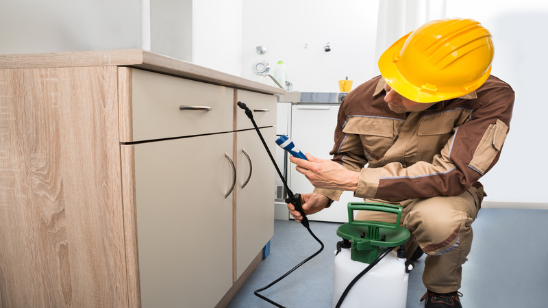 Local Exterminators in Newnan, GA: A Comprehensive Guide to Pest Control