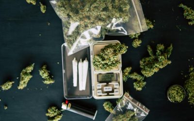 The Connoisseur’s Quest: Identifying the Premier Marijuana Dispensary in Portland Tailored to Your Unique Desires