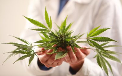 Your Guide to the Premier Dispensary Near Riverside, CA