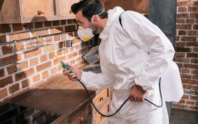 Protect Your Family and Pets from Harmful Pests Today: Pest Control in NJ