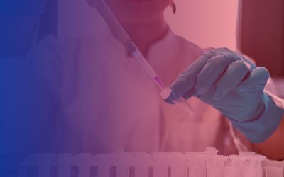 Best Dot Compliance Companies: Key Factors for Your Business Success