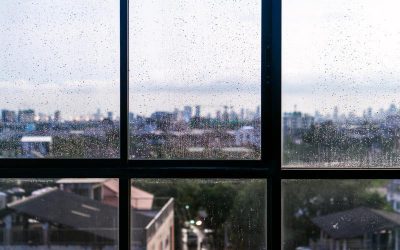 Why Is Commercial Window Installation in Denver, CO, the Upgrade Your Property Needs?