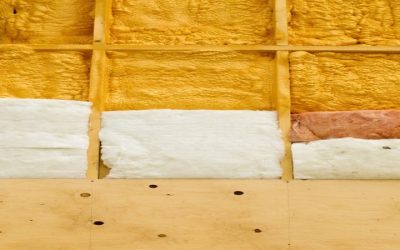 How Safe Racoon Removal From Attic Jackson Township, NJ Protects Your Family and Home