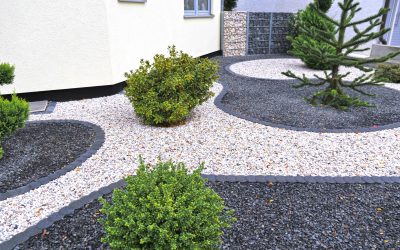 How Landscaping Lighthouse Point, FL Transforms Your Curb Appeal and Home Value