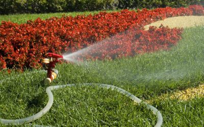 Why You Should Hire an In-Ground Lawn Sprinkler System Contractor in Hudson, FL for Your Home