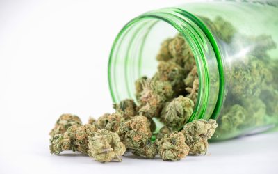 Unrivaled Purity Awaits When Shopping for THCA Concentrate Online in the USA