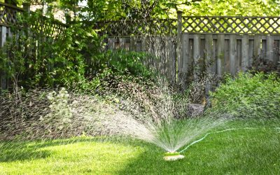 What to Look for When Choosing Residential Lawn Irrigation Equipment Schererville IN Homeowners Trust