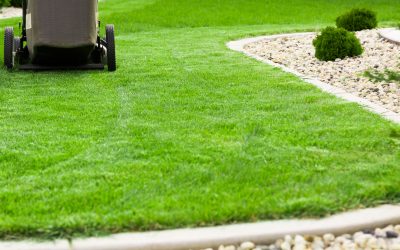 Achieve a Beautiful Yard Through Trusted Landscape Installation Fort Worth, TX Solutions