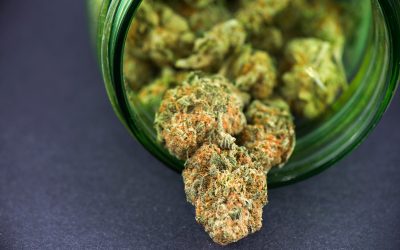 A Practical Guide to Buying Quality THCA Flower Online in the USA