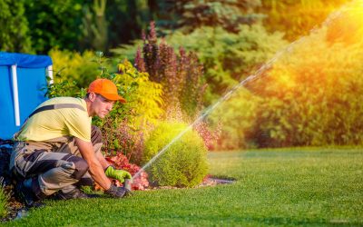 Lawn Care in Wesley Chapel FL: A Practical Guide to Healthier Turf